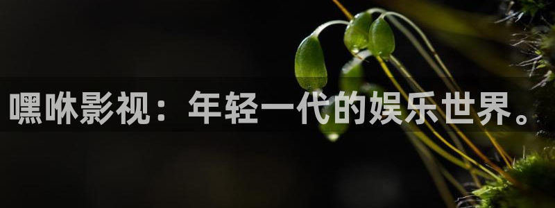 5g影院天天运动